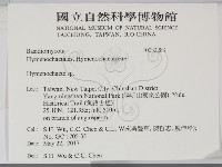 刺革菌屬藏品圖，第2張