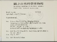 絲皮菌屬藏品圖，第2張