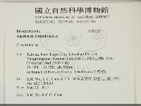 登錄號:F0032287藏品圖，第2張