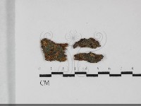 登錄號:F0032287藏品圖，第1張