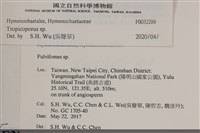 登錄號:F0032288藏品圖，第3張