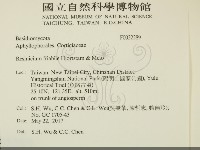 登錄號:F0032289藏品圖，第2張