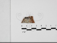 登錄號:F0032289藏品圖，第1張
