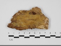 登錄號:F0032291藏品圖，第1張