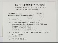 登錄號:F0032292藏品圖，第2張