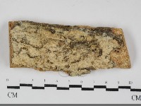 登錄號:F0032294藏品圖，第1張