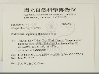 登錄號:F0032295藏品圖，第2張