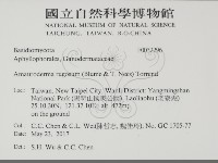 登錄號:F0032296藏品圖，第2張