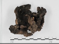 登錄號:F0032296藏品圖，第3張