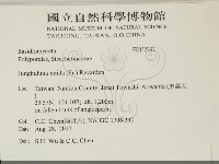 登錄號:F0032297藏品圖，第2張