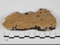 登錄號:F0032297藏品圖，第1張