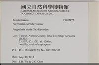 登錄號:F0032297藏品圖，第3張
