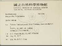 骨皮菌屬藏品圖，第2張
