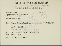 登錄號:F0032299藏品圖，第2張