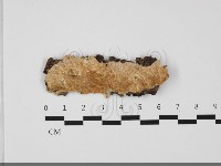 登錄號:F0032299藏品圖，第1張