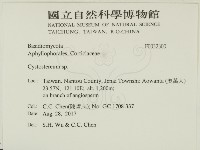 登錄號:F0032300藏品圖，第2張