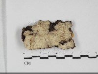 登錄號:F0032300藏品圖，第1張