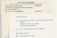 登錄號:F0032300藏品圖，第3張