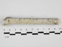 登錄號:F0032302藏品圖，第1張