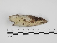 登錄號:F0032303藏品圖，第1張