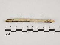 登錄號:F0032305藏品圖，第1張