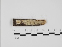 登錄號:F0032307藏品圖，第1張