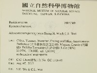 登錄號:F0032309藏品圖，第2張