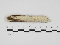 登錄號:F0032309藏品圖，第1張