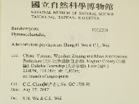 登錄號:F0032310藏品圖，第2張