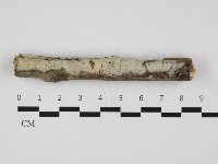 登錄號:F0032310藏品圖，第1張
