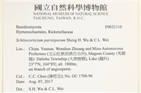 登錄號:F0032310藏品圖，第3張