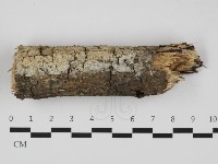 登錄號:F0032311藏品圖，第1張