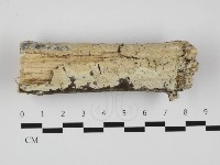 登錄號:F0032312藏品圖，第1張