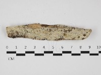 登錄號:F0032314藏品圖，第1張