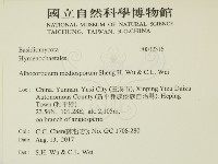 登錄號:F0032316藏品圖，第2張