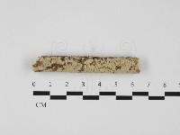 登錄號:F0032316藏品圖，第1張