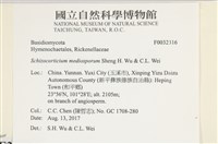 登錄號:F0032316藏品圖，第3張