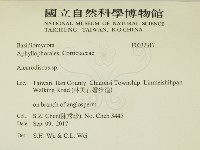 盤革菌屬藏品圖，第2張