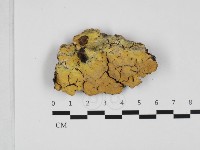 登錄號:F0032318藏品圖，第1張