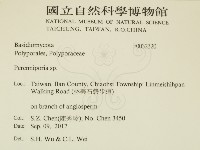 多年臥孔菌屬藏品圖，第2張
