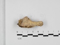 登錄號:F0032322藏品圖，第1張