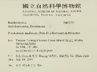 登錄號:F0032324藏品圖，第2張