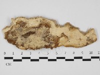 登錄號:F0032325藏品圖，第3張