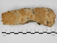 登錄號:F0032326藏品圖，第1張