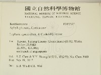 登錄號:F0032327藏品圖，第2張