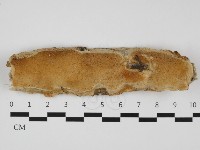 登錄號:F0032328藏品圖，第1張