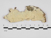 登錄號:F0032329藏品圖，第1張