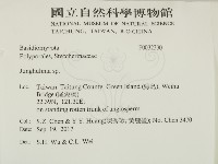 容氏菌屬藏品圖，第2張