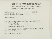 顯絲菌屬藏品圖，第2張