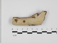 登錄號:F0032332藏品圖，第1張